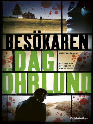 cover image of Besökaren